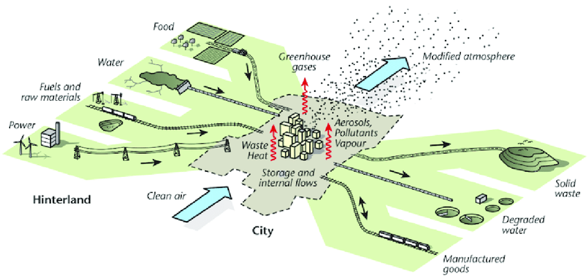 metabolic urbanization