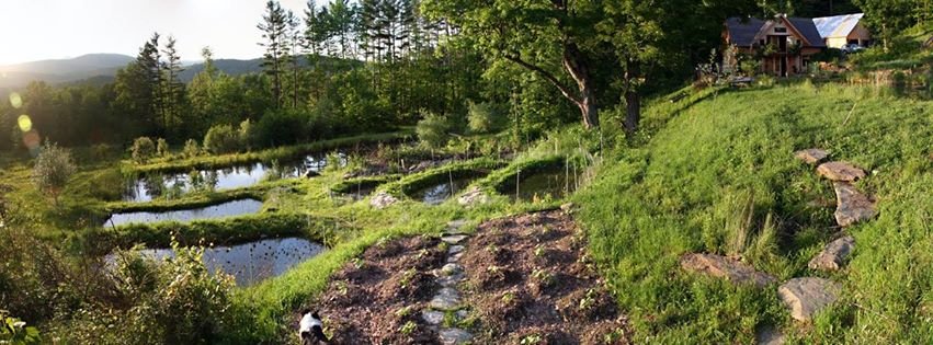 Multiple Planting and Topography